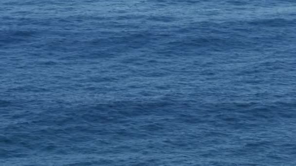 Высокие Морские Воды Ветровые Течения Воздушный Вид Движущихся Волн Океане — стоковое видео
