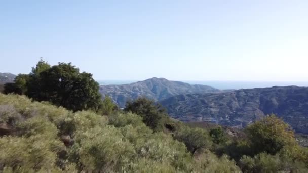 Drone Sobre Olivos Ladera Montaña Sentimiento Mediterráneo Océano Montañas Horizonte — Vídeos de Stock