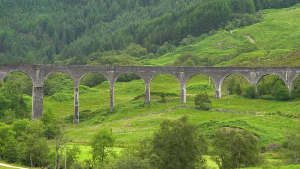 Vackra Höga Historiska Glenfinnan Viadukt Medan Vita Fåglar Flyger Genom — Stockvideo