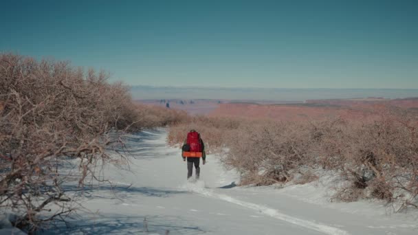 Muž Backpacking Wilderness Krásným Výhledem — Stock video