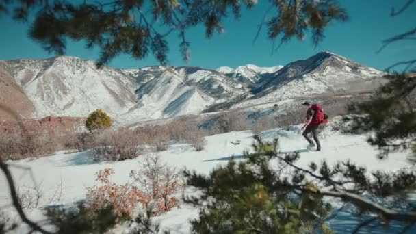 Aventurarse Desierto Nevado Con Hermoso Telón Fondo — Vídeos de Stock