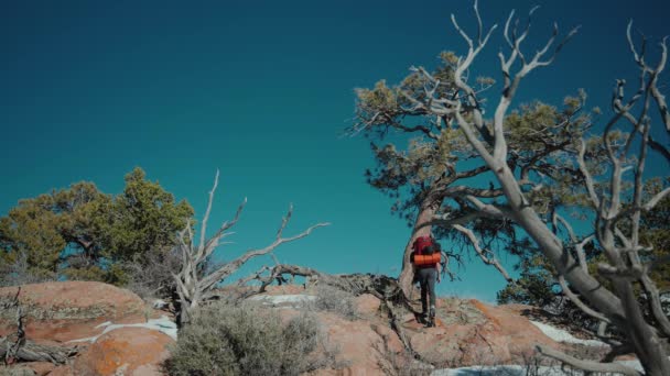 Utforskande Naturen Landsbygden — Stockvideo