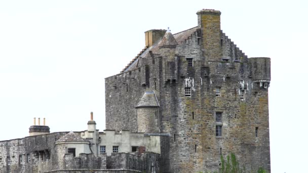 Vit Fågel Flyger Och Vandrar Över Den Historiska Eilean Donan — Stockvideo