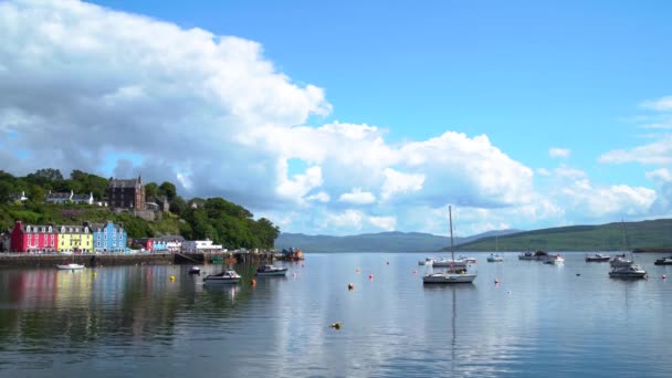 Several Pleasure Yachts Moored Anchorage Village Mull Scotland Tobermory Isle — Stock Video