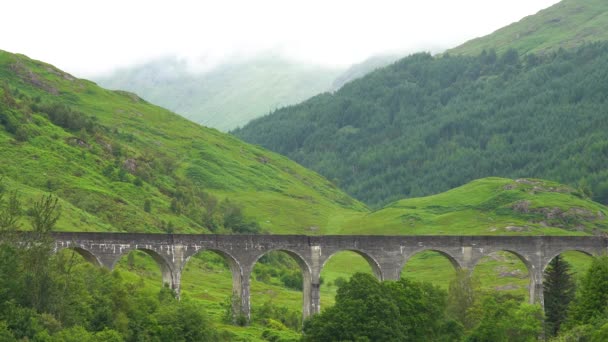 Histórico Viaducto Glenfinnan Entre Campo Verde Los Enormes Bosques Fondo — Vídeo de stock