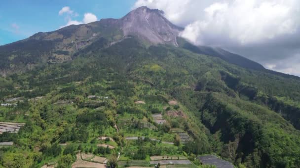 Nyugodt Rizs Teraszok Lejtőjén Mount Merapi Indonézia Légi Kilátás — Stock videók