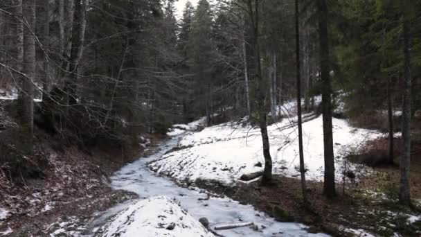 Ver Frosted River Bosque Montaña Bosques Durante Invierno Disparo Estático — Vídeo de stock