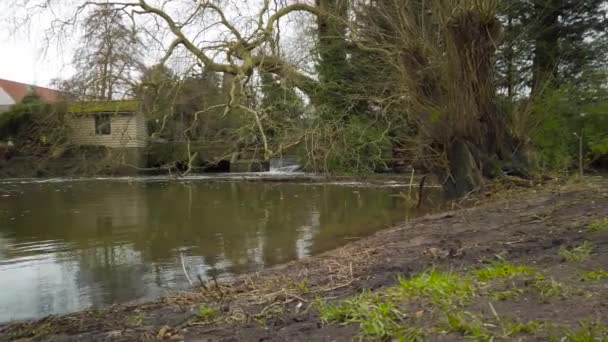Pantanos Pantanosos Orillas Del Río Tributario Little Ouse Thetford — Vídeos de Stock