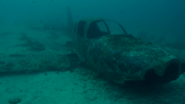 Flugzeugwrack Unter Wasser Auf Meeresboden — Stockvideo