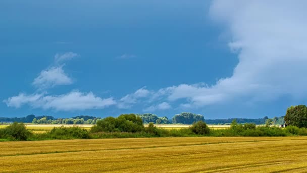 Time Lapse Vista Del Bellissimo Cielo Blu Con Bianco Campo — Video Stock