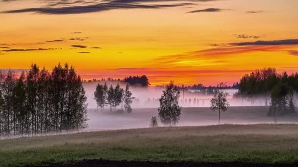 Vacker Solnedgång Över Slätterna Täckt Med Vit Dimma Landskapet Landsbygden — Stockvideo