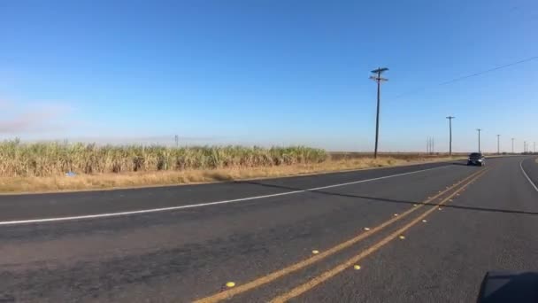 Pov Driving Military Highway Rio Grand Valley Sugar Cane Field — 图库视频影像