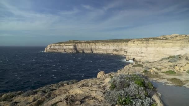 Grönska Växer Klippor Nära Medelhavet Gozo Malta Vintern — Stockvideo