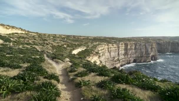 Plantas Crescendo Falésias Flo Azure Janela Perto Mar Mediterrâneo Malta — Vídeo de Stock