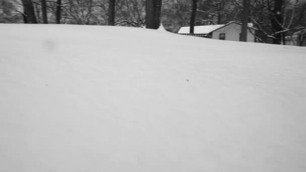 Nevando Chão Com Paisagem Coberta — Vídeo de Stock