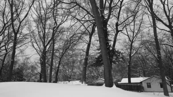 柔らかい雪に覆われた風景の上に喘ぐ — ストック動画