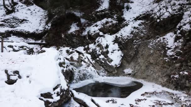 雪と氷の下の森林ストリーム 静的ショット — ストック動画
