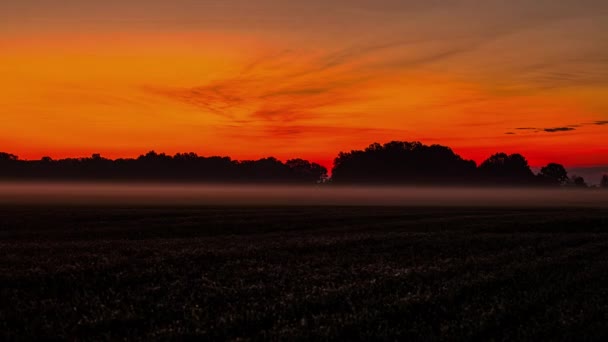 Czas Upłynął Strzał Kolorowy Wschód Słońca Mistyczną Mgłą Nad Polami — Wideo stockowe