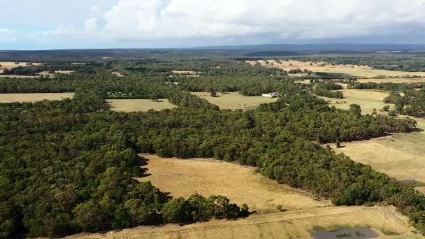 Orbitowanie Aerial Nad Australijskimi Obszarami Wiejskimi Parkiem Narodowym Otway — Wideo stockowe