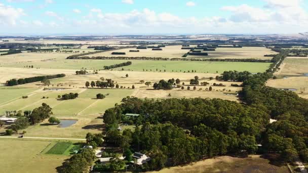 Aérial Sur Les Plans Plats Campagne Australienne Rurale — Video