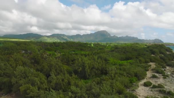 Обратная Тележка Зеленых Деревьев Гор Голубое Небо Большой Морской Скале — стоковое видео