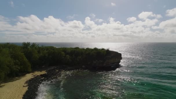 Antenni Kallion Vieressä Keltainen Hiekkaranta Meri Sininen Taivas Aurinkoisella Havaijilla — kuvapankkivideo