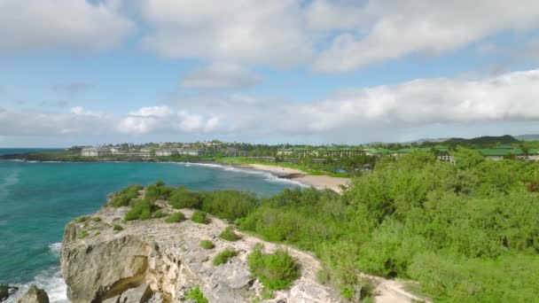 ハワイ州の木 ビーチ 青い海と崖に囲まれた海岸沿いのホテル — ストック動画