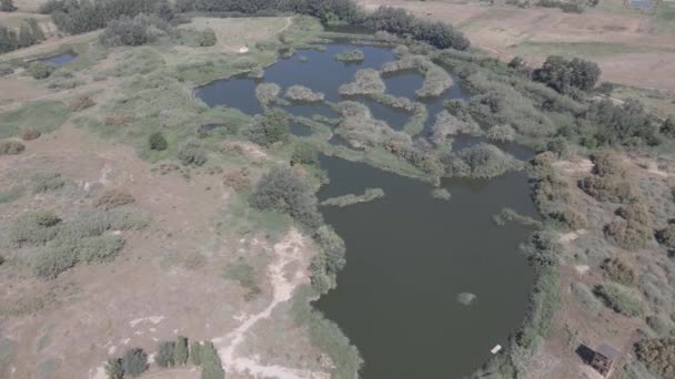 Vistas Aéreas Uma Zona Húmida — Vídeo de Stock