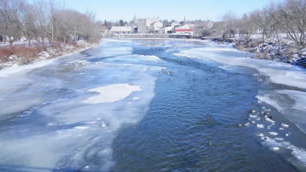 Patos Despegando Del Río Congelado — Vídeos de Stock