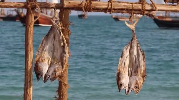 Αποξηραμένα Ψάρια Που Εκτίθενται Ένα Κατάστημα Ένα Χωριό Στο Κατάρ — Αρχείο Βίντεο