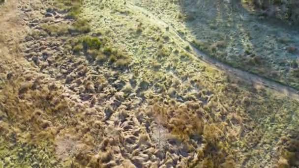 Drohnenaufnahmen Aus Der Luft Die Einen Abgelegenen Schottischen Bothy Cadderlie — Stockvideo