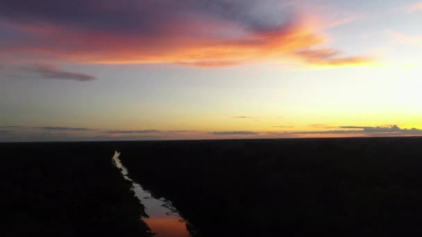 Fotografia Cinematográfica Drone Pôr Sol Rio Amazonas Floresta Tropical Peru — Vídeo de Stock