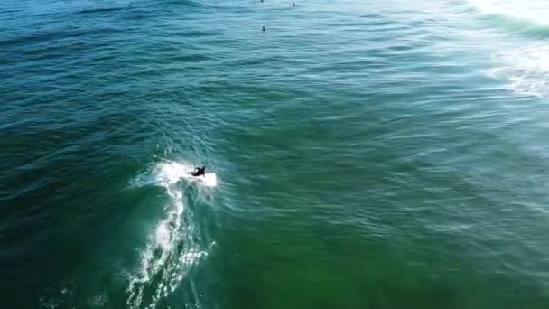 Drone Aérien Suite Une Houle Vague Surf Sur Banc Sable — Video