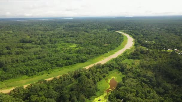 Ευρεία Αποκαλύπτοντας Drone Shot Του Αμαζονίου Ποταμού Και Τροπικό Δάσος — Αρχείο Βίντεο