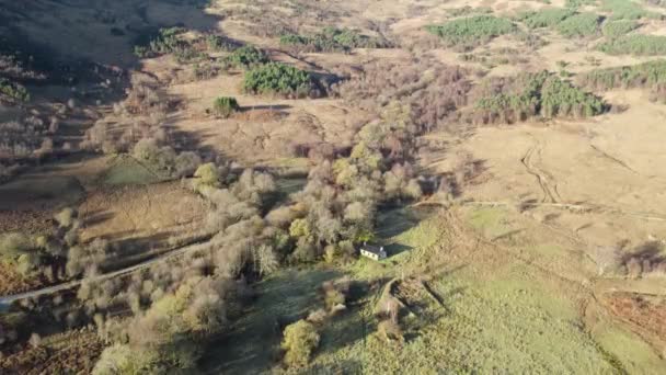 Images Drones Aériens Lents Descendant Vers Des Forêts Indigènes Hiver — Video
