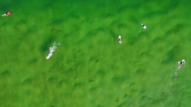 Imágenes Aéreas Aviones Tripulados Vista Pájaro Del Surfista Montando Olas — Vídeo de stock