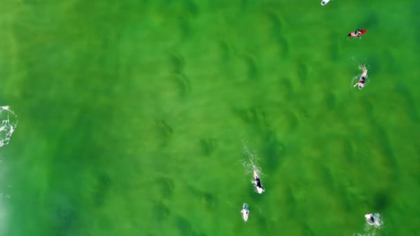 空中无人飞机鸟瞰冲浪选手乘坐海浪水晶般清澈的水波沙洲中部海岸旅游澳大利亚新南威尔士州4K — 图库视频影像