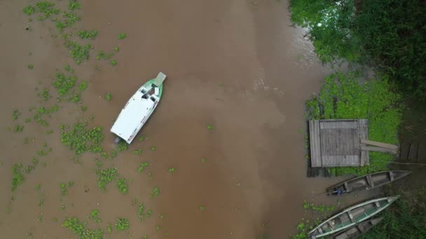 Lanzamiento Cinematográfico Drones Saliendo Muelle Río Amazonas Con Una Exuberante — Vídeo de stock