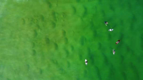 波を待っている透き通った海の砂州のサーファーの空中ドローン鳥の目のビュー Nsw日本製鋼所 — ストック動画