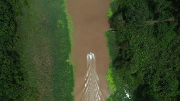 Cinematic Downward Angle Drone Shot Boat Wake Amazon River Rainforest — Stock Video