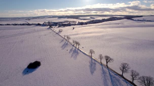 Dromerige Winteravond Landschap Met Een Met Bomen Omzoomde Weg Bedekt — Stockvideo