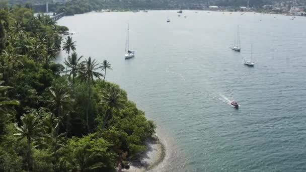 Aerial Barche Vela Intorno Porto Samana Repubblica Dominicana Ampio Inverso — Video Stock