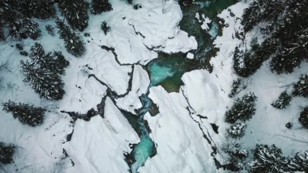 Bavyera Avusturya Alpleri Nde Kar Kanyonu Ağaçları Boyunca Akan Temiz — Stok video