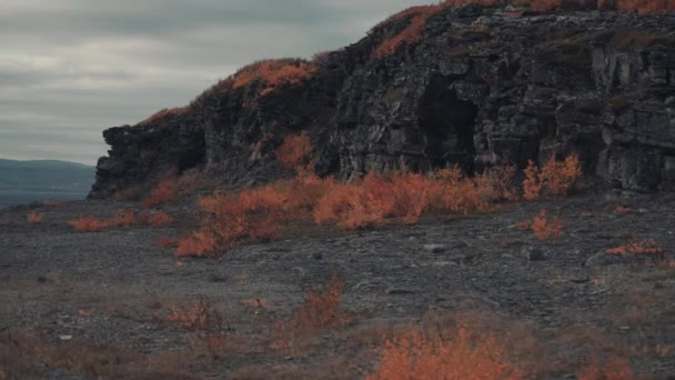 Desolado Paisaje Del Norte Escasa Vegetación Otoñal Las Rocas Oscuras — Vídeo de stock