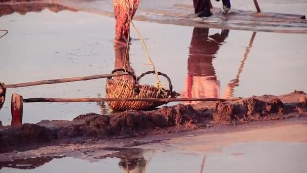 Kamboçya Tuz Toplayan Işçiler Arasında Tuz Dolu Bir Sepet — Stok video