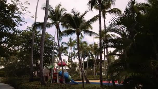 Renkli Çocuklar Tropik Tatil Beldesindeki Palmiye Ağaçları Arasında Oyun Alanı — Stok video