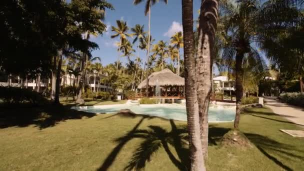 Lenyűgöző Trópusi Hangulat Pálmafákkal Vízi Adottságokkal Karib Tenger Üdülőhely — Stock videók