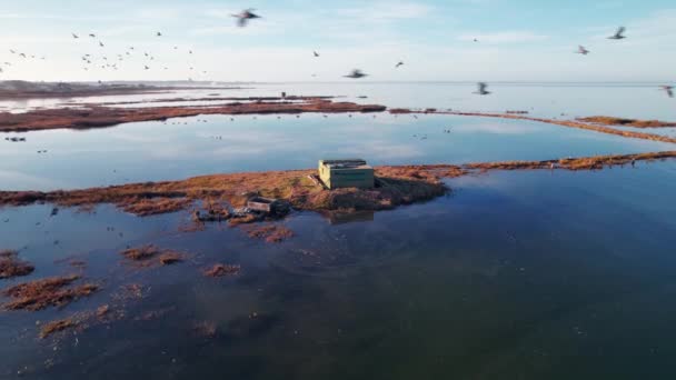 1つの建物と鳥が飛んでいくシュールな水の風景 — ストック動画