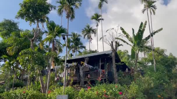 Tradycyjne Drewniane Domy Otoczone Tropikalnymi Drzewami Mawlynnong Meghalaya Indie Szeroki — Wideo stockowe