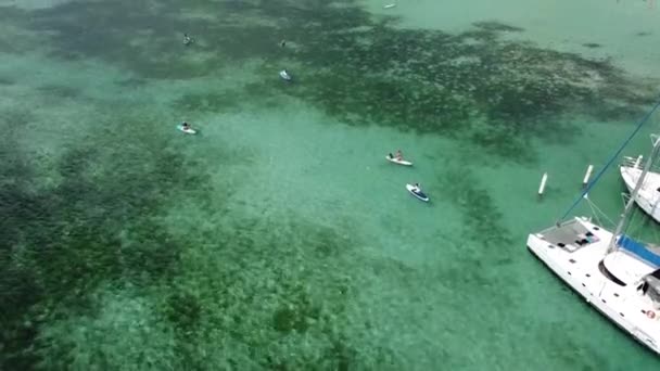 Drone Shot Captures Group Tourists Paddle Surfing Beautiful Sunny Day — Stock Video